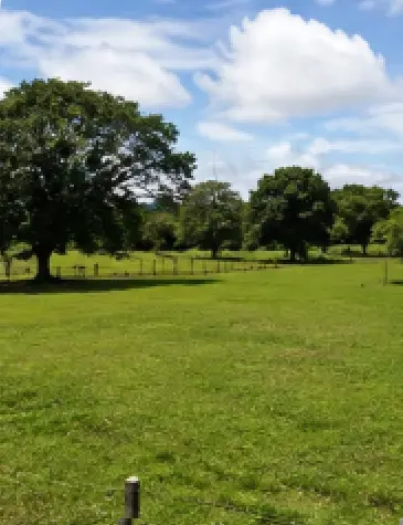 Terrenos