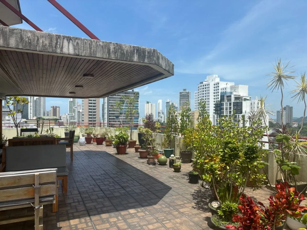 ALQUILER APARTAMENTO EL CANGREJO AMOBLADO. (DV) — imagen 1 de 10