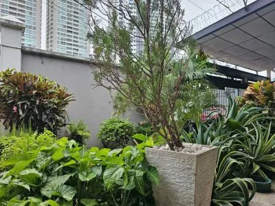 VENTA CASA COMERCIAL CALLE 50 (OF) — imagen 6 de 10