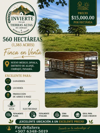 Farm for sale in Nuevo Mexico, Divala, district of Alanje, Chiriqui, Panama.