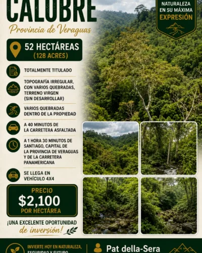 Land for sale in Calobre, province of Veraguas.