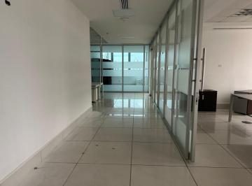 Alquilo o Vendo Oficina Punta Pacifica Torres de Las Americas — imagen 3 de 5